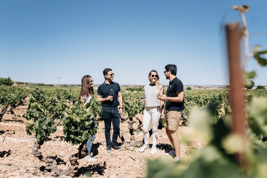 From Madrid: Traditional Villages, Winery Tour & Tapas Lunch - What makes this Madrid day trip worth considering