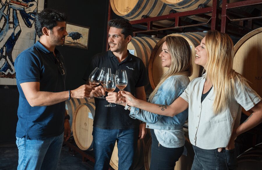 From Madrid: Traditional Villages, Winery Tour & Tapas Lunch - Walking and accessibility