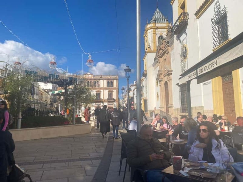 From Marbella: Ronda, private transport, cafe, bullring, tapas, drinks - The drive from Marbella to the mountain city