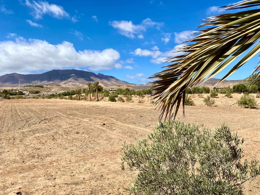 Fuerteventura: Tapas and Local Life Guided Tour - What is included, and what you still need to plan