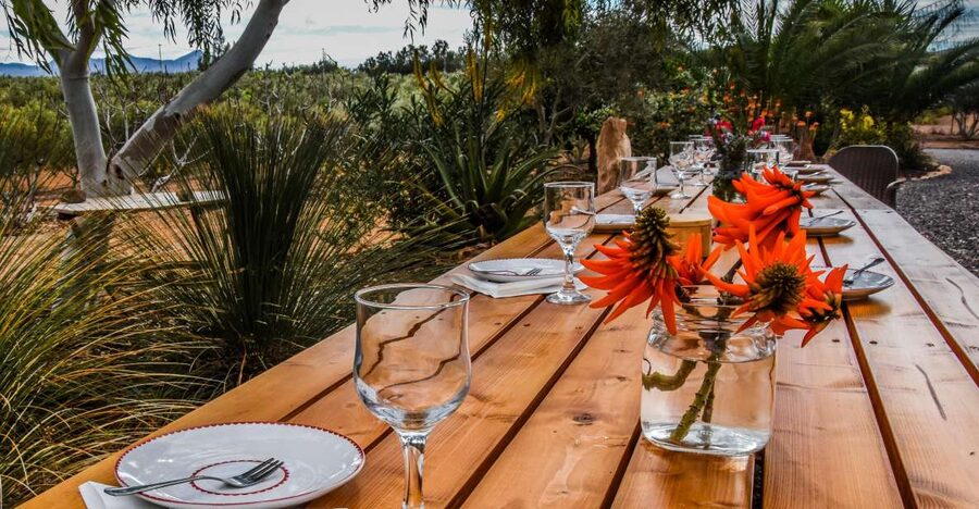 Fuerteventura: Tapas and Local Life Guided Tour - Olive trees and extra virgin oil with Adrian
