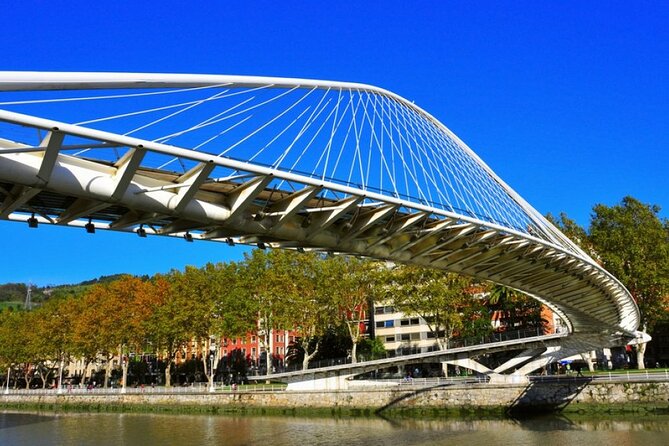 Full-day private Bilbao tour (Guggenheim museum & full pintxo lunch included) - Price, Timing, and Overall Value at $289.20