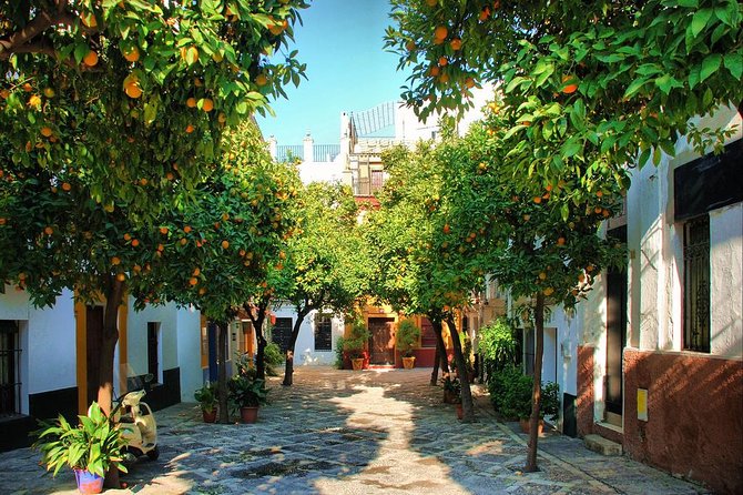 Full Day Seville Tour with tickets (optional Tapas & Flamenco) - Climbing the Giralda