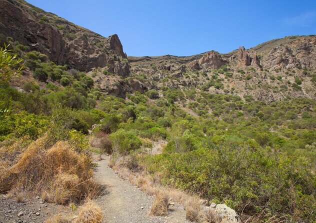 Gran Canaria 7 Highlights Small Group Tour with Tapas Picnic - Five useful things to know before booking