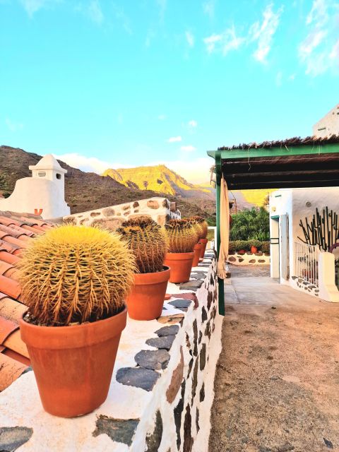 Gran Canaria: Spanish Tapas and Wine Tasting Tour in Mogan - How the 2.5-hour schedule feels