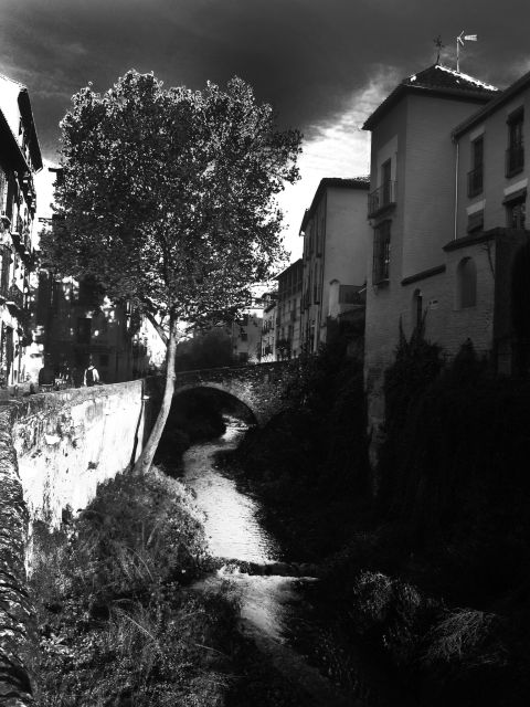 Granada Albaicín: 2.5-Hour Tapas & Drinks Walking Tour - Who should book this Albaicín evening?