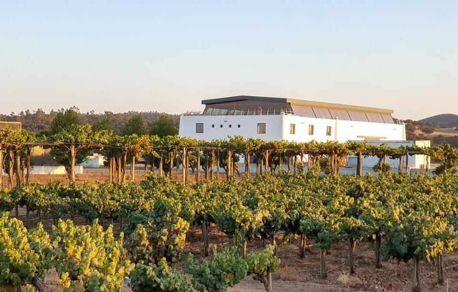 Herdade Canal Caveira - Winery Visit 4 Wines & Tapas - Key points before you book