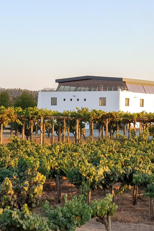 Herdade Canal Caveira - Winery Visit 4 Wines & Tapas - How good is the $35 value?