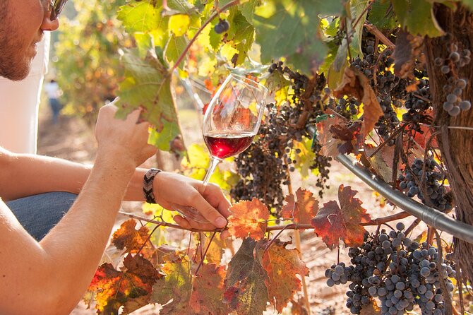 High-End Vineyard Escape: Cava, Tapas & Wine | Private Tour - Ca n’Estella: cava and lunch at an 18th-century masia