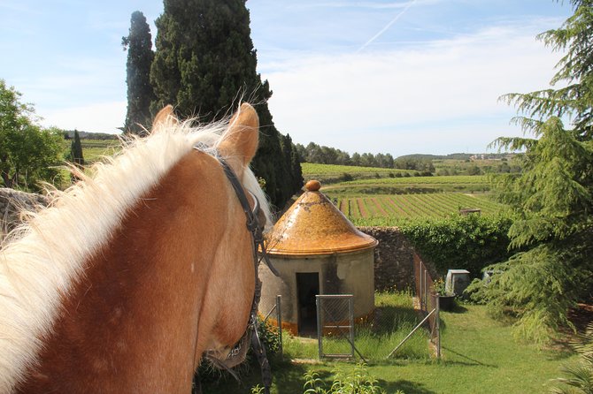 Horseback Ride, Penedes, Wine Tasting & Tapas Private Tour - Who will enjoy this day most?