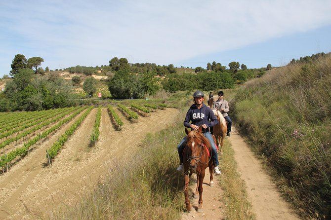 Horseback Ride, Penedes, Wine Tasting & Tapas Private Tour - The Pares Balta visit and 90-minute wine tasting