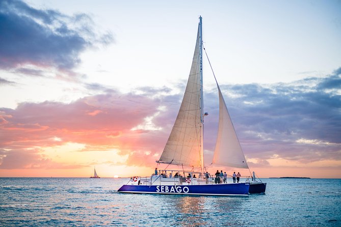 Key West Sunset Sail: Dolphin Watching, Wine, and Tapas - Looking for dolphins beyond the harbor