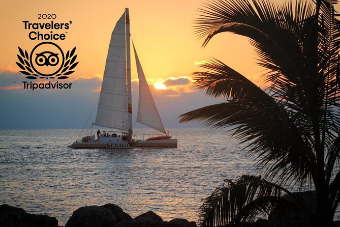 Key West Sunset Sail: Dolphin Watching, Wine, and Tapas - Who will enjoy this catamaran cruise most?