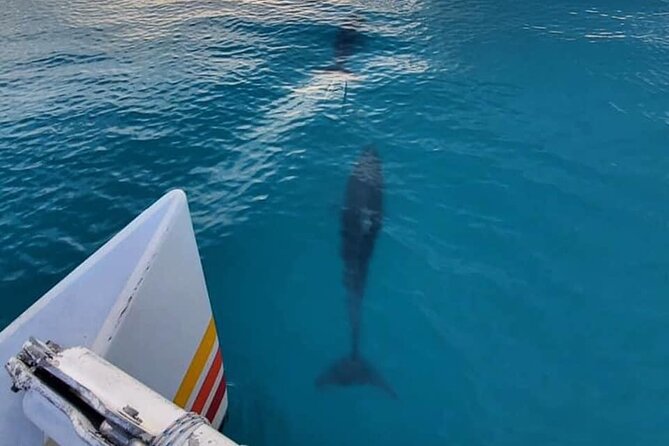 Key West Sunset Sail: Dolphin Watching, Wine, and Tapas - Passing Mallory Square from the water