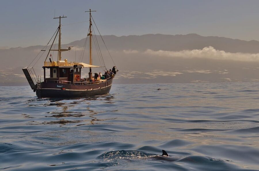 La Palma: 4-Hour Coastline Cruise with Tapas and Barbecue - Key points to know before you book