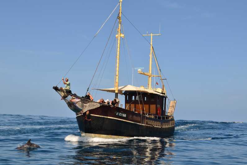 La Palma: 4-Hour Coastline Cruise with Tapas and Barbecue - The swim stop after about an hour