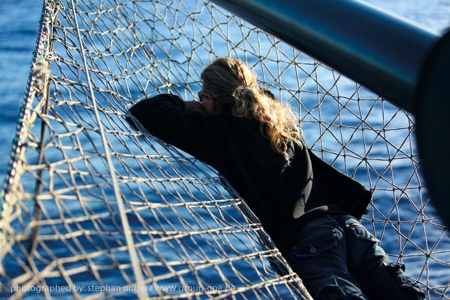 La Palma: 4-Hour Coastline Cruise with Tapas and Barbecue - Dolphins, whales, and the luck of the sea