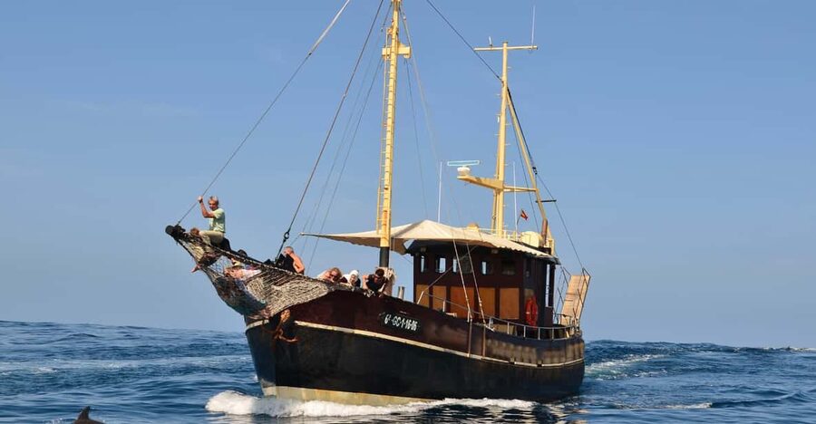 La Palma: 4-Hour Coastline Cruise with Tapas and Barbecue - Who will enjoy the Bussard most?