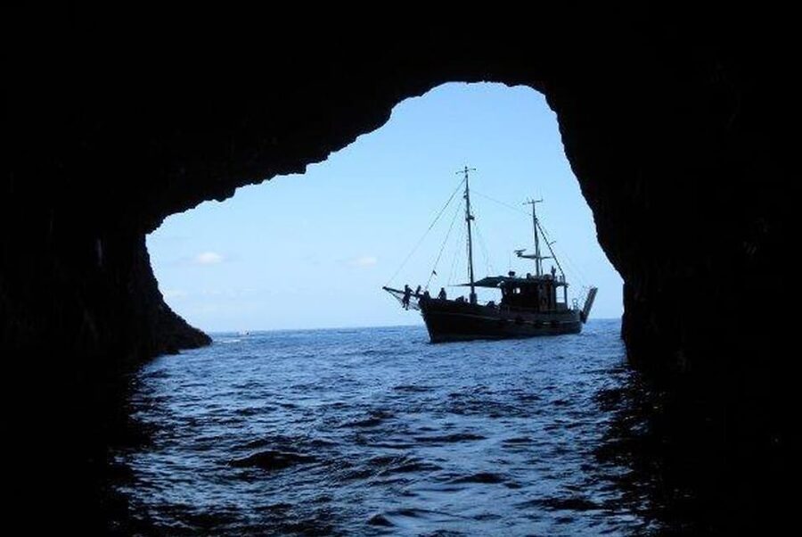 La Palma: 4-Hour Coastline Cruise with Tapas and Barbecue - Should you book this La Palma cruise?
