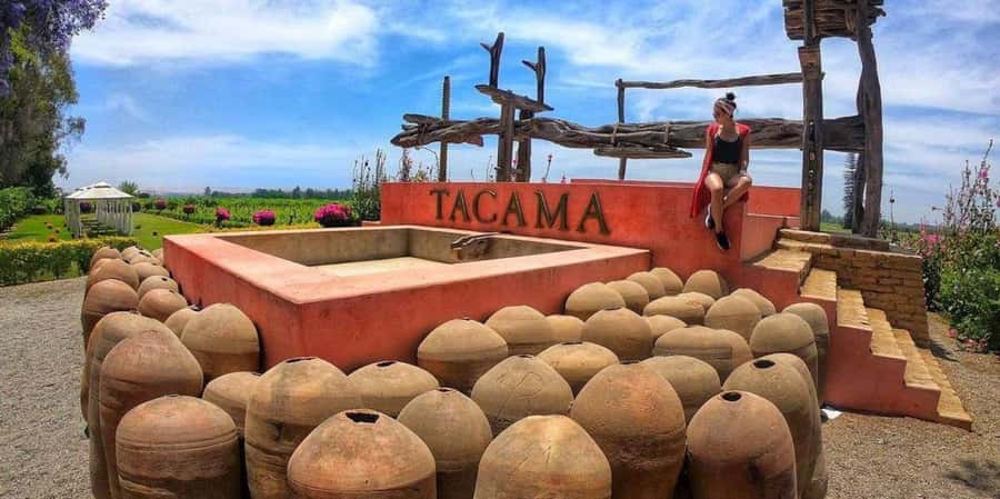 Lagos/Praia da Luz: Wine Tour, Tastings, Tapas, and Music - Four wines and four local tapas