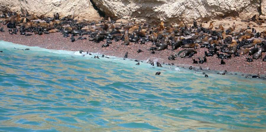Lagos/Praia da Luz: Wine Tour, Tastings, Tapas, and Music - The final 20-minute shop stop