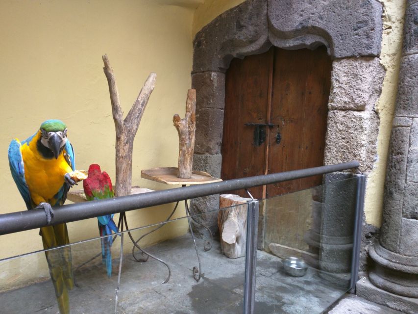 Las Palmas: Private Old City Guided Walking Tour with Tapas - Vegueta’s Cathedral and Columbus House