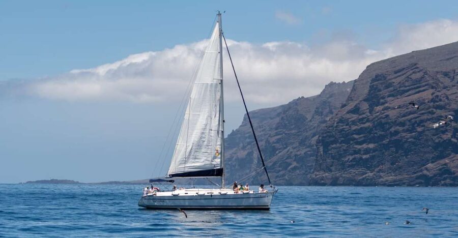 Los Gigantes: Sailing Excursion with Swimming, Drink & Tapas - Key points at a glance