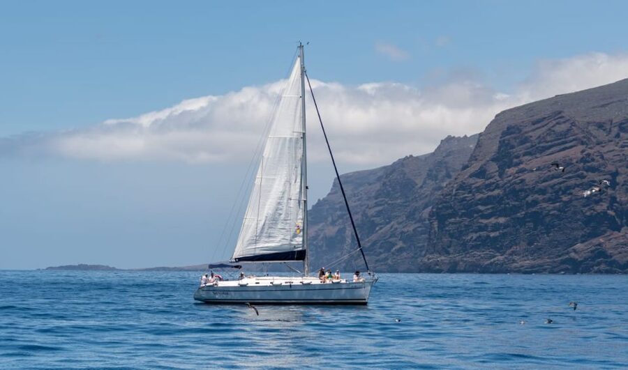 Los Gigantes: Sailing Excursion with Swimming, Drink & Tapas - Whale and dolphin watching offshore