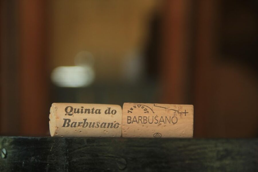 Madeira: Wine & Tapas, Cabo Girão Skywalk 4x4 Jeep Adventure - Why the guides matter so much