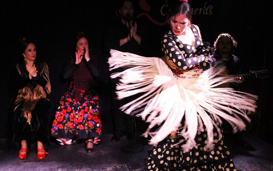 Madrid: Flamenco Show with Tapas and Wine Tour - Starting at San Miguel Square
