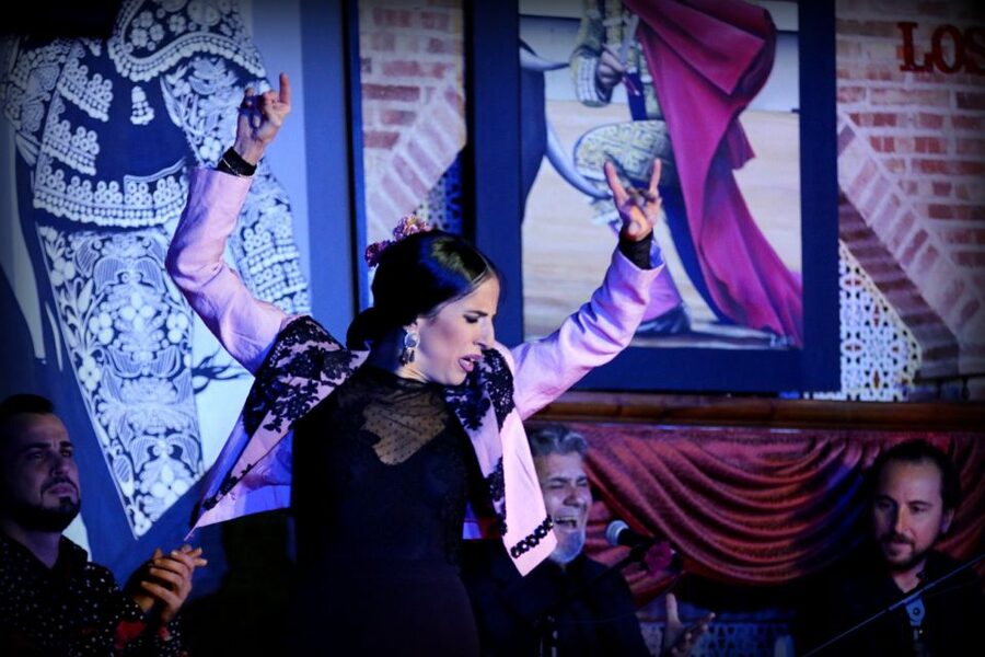 Madrid: Los Porches Flamenco Show with Tapas and Wine Ticket - What the two-hour performance includes