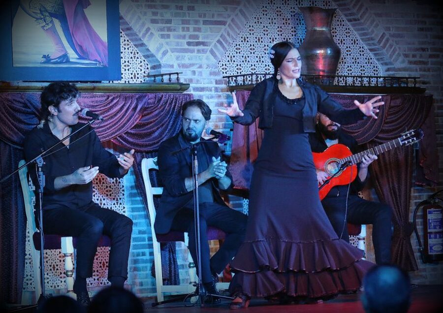 Madrid: Los Porches Flamenco Show with Tapas and Wine Ticket - The Spanish food and wine question