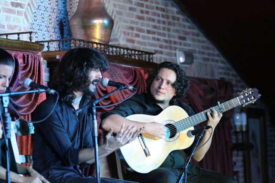 Madrid: Los Porches Flamenco Show with Tapas and Wine Ticket - Who will get the most from this ticket?