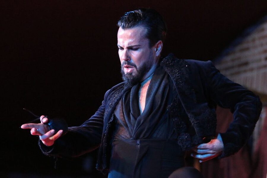 Madrid: Los Porches Flamenco Show with Tapas and Wine Ticket - Making sense of the $53 price