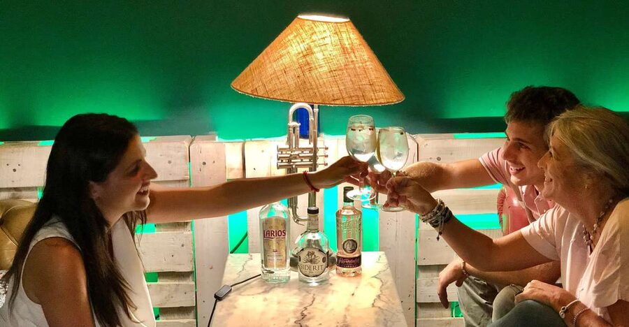 Madrid: San Miguel view Gin and Tonic Workshop with Tapas - Three Spanish gins, three different flavor lessons