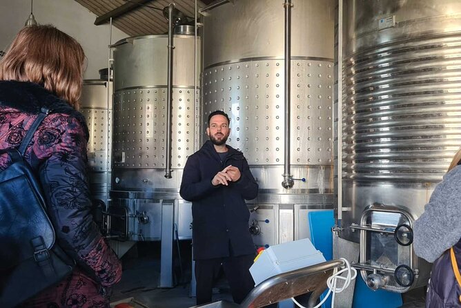 Malaga Organic Vineyard and Winery Six Wines Tapas and Transfer - Who will enjoy this Malaga wine tour