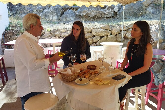 Malaga Organic Vineyard and Winery Six Wines Tapas and Transfer - Should you book the Bodega Malvajio experience?
