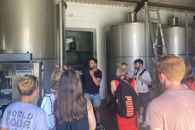 Malaga Organic Vineyard and Winery Six Wines Tapas and Transfer - Inside Antonio’s garage winery