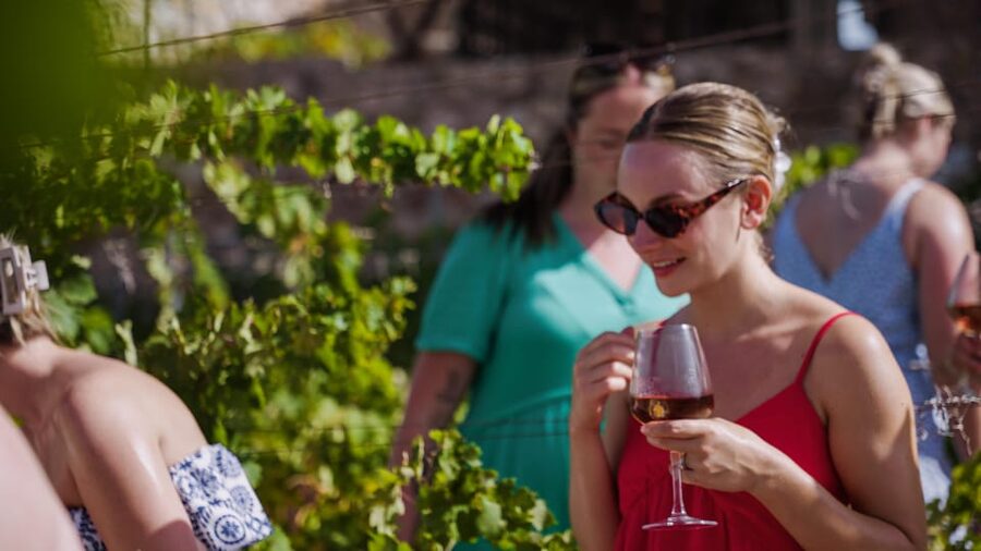 Malaga: Organic Vineyard Tour with 6 Wines, Tapas & Transfer - Key points to know before booking