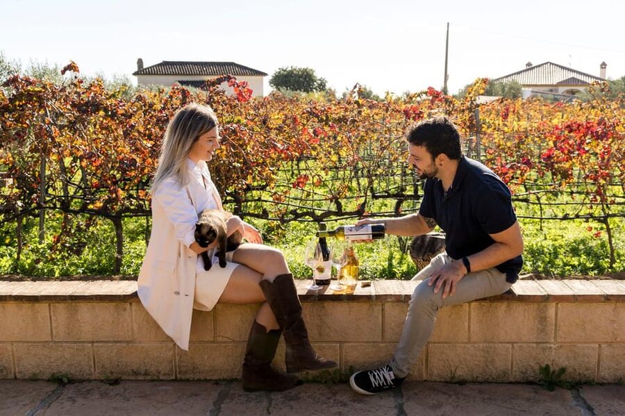 Malaga: Organic Vineyard Tour with 6 Wines, Tapas & Transfer - What makes this Malaga wine tour different