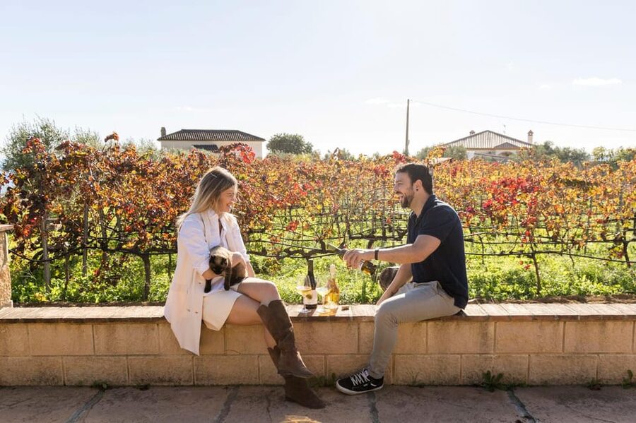 Malaga: Organic Vineyard Tour with 6 Wines, Tapas & Transfer - Six wines, unusual styles, and generous pours