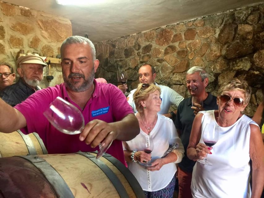 Malaga: Organic Vineyard Tour with 6 Wines, Tapas & Transfer - Tapas that actually support the tasting
