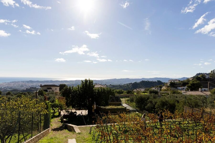 Malaga: Organic Vineyard Tour with 6 Wines, Tapas & Transfer - Who should book this experience?