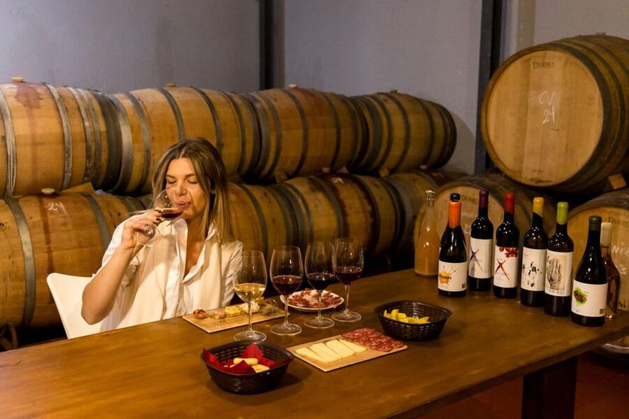 Malaga: Organic Vineyard Tour with 6 Wines, Tapas & Transfer - Starting at Plaza de la Marina