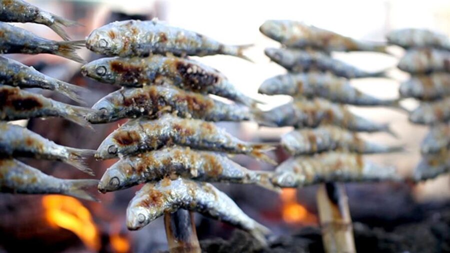 Malaga: PREMIUM TAPAS TOUR Paella, Tapas, Winery & Flamenco - Is $141 good value?
