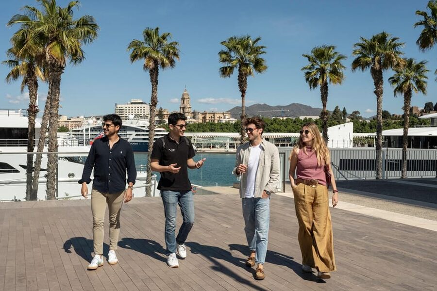Málaga: Tapas, Wine & Rooftops Private Tour - Who should book this Málaga evening?