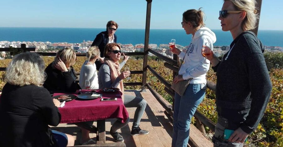 Manilva: Nilva Vineyard, Wine Tasting & Tapas Guided Tour - Why Manilva’s vineyards matter