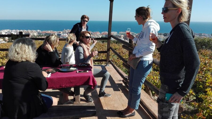 Manilva: Nilva Vineyard, Wine Tasting & Tapas Guided Tour - Inside Nilva’s small artisan winery