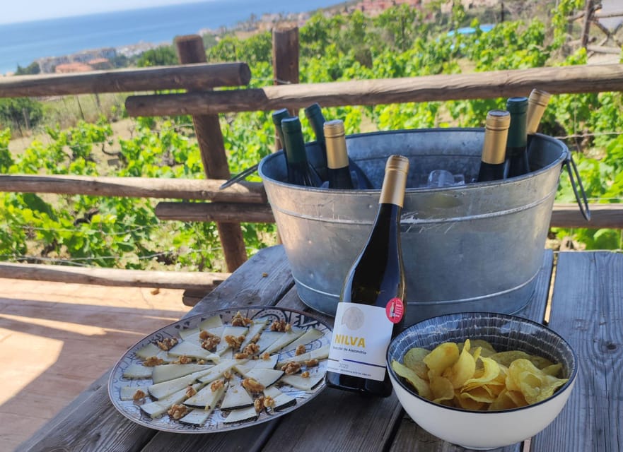 Manilva: Nilva Vineyard, Wine Tasting & Tapas Guided Tour - Reaching the Viña del Peñoncillo vineyard