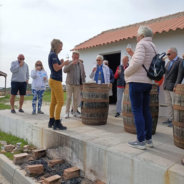 Manilva: Nilva Vineyard, Wine Tasting & Tapas Guided Tour - How the guide shapes the experience
